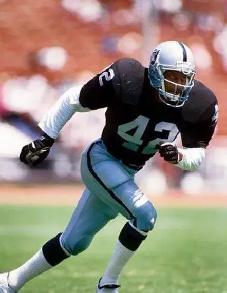 RONNIE LOTT Los Angeles Raiders 1991 Home Throwback NFL Football Jersey 