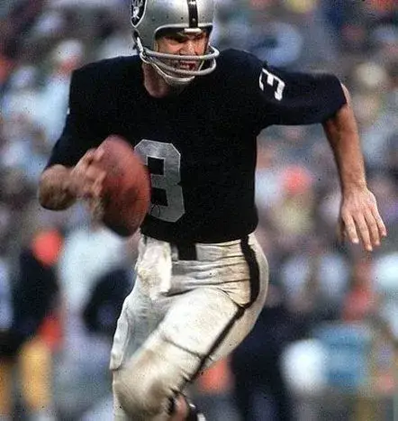 DARYLE LAMONICA Oakland Raiders 1970 Home Throwback NFL Football Jersey 