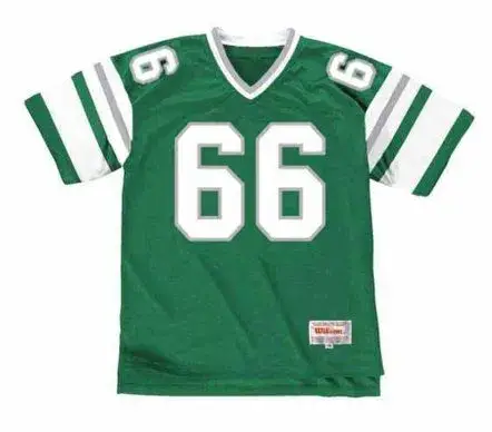 BILL BERGEY Philadelphia Eagles 1978 Home Throwback NFL Football Jersey
