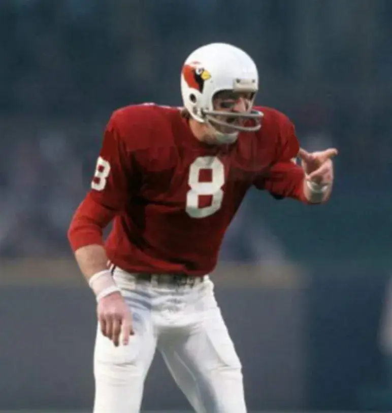 ST. LOUIS CARDINALS 1969 Throwback NFL Jersey Customized “Any Name & Number(s)” 