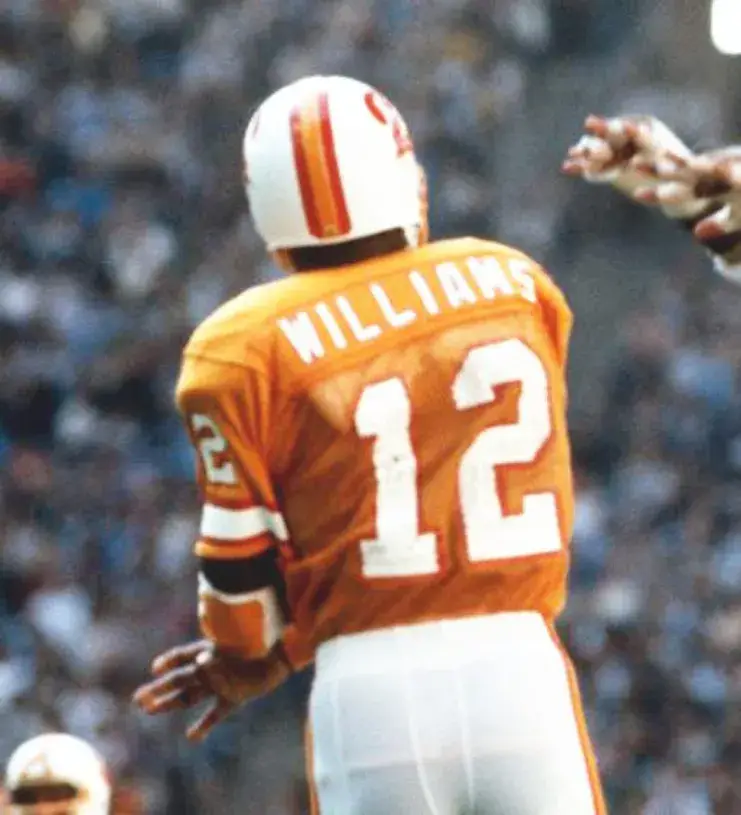 DOUG WILLIAMS Tampa Bay Buccaneers 1981 Home Throwback NFL Football Jersey 