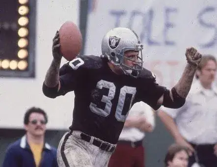 MARK VAN EEGHEN Oakland Raiders 1976 Throwback Home NFL Football Jersey 
