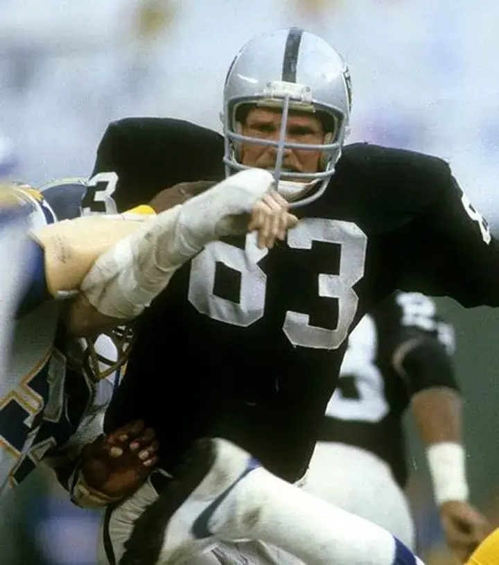 TED HENDRICKS Oakland Raiders 1976 Throwback Home NFL Football Jersey 