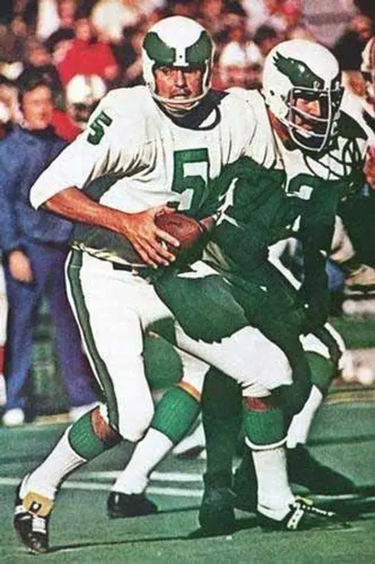 ROMAN GABRIEL Philadelphia Eagles 1973 Throwback NFL Football Jersey 