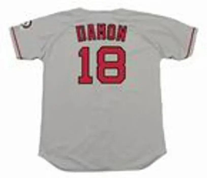 JOHNNY DAMON Boston Red Sox 2004 Majestic Throwback Away Baseball Jersey 