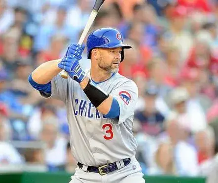 DAVID ROSS Chicago Cubs 2016 Majestic Away Baseball Jersey 