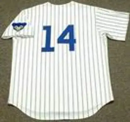 ERNIE BANKS Chicago Cubs 1969 Home Majestic Throwback Baseball Jersey 