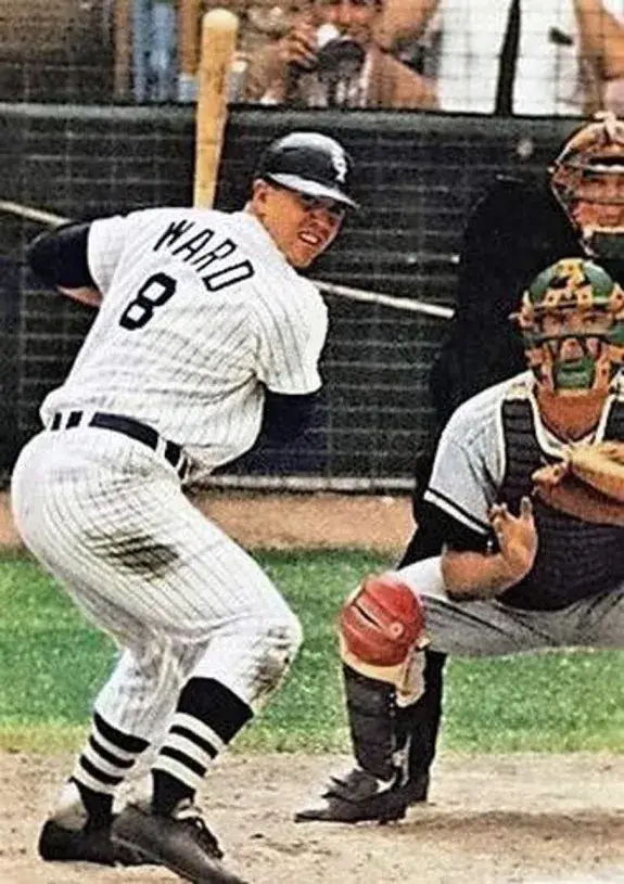 PETE WARD Chicago White Sox 1968 Home Majestic Throwback Baseball Jersey 
