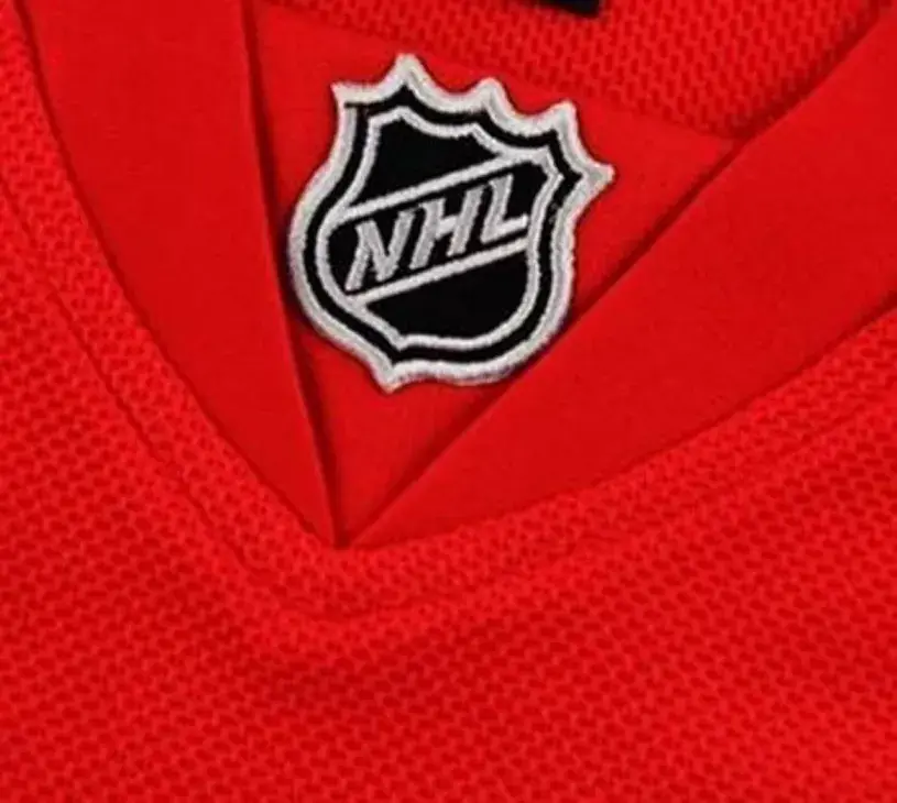 DANIEL CLEARY Detroit Red Wings 2010 Home REEBOK Throwback NHL Hockey Jersey 