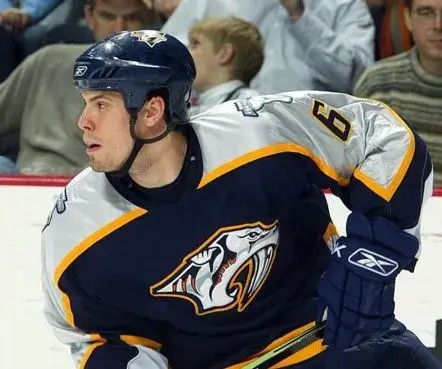 NASHVILLE PREDATORS 2000’s CCM Throwback Jersey Customized “Any Name & Number(s)” 