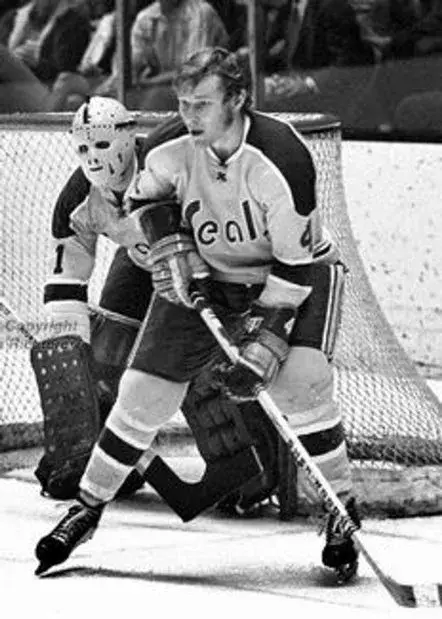 DICK REDMOND California Golden Seals 1972 CCM Vintage Throwback NHL Jersey 
