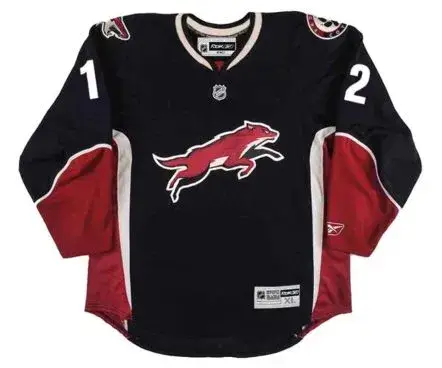 PAUL BISSONNETTE Phoenix Coyotes 2009 REEBOK Alternate Throwback Hockey Jersey