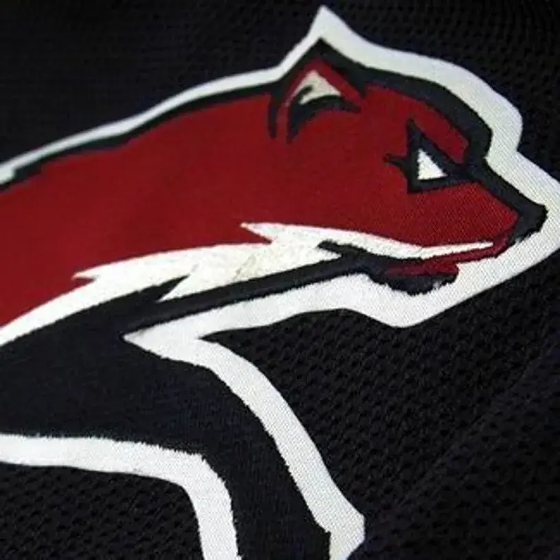 PHOENIX COYOTES 2009 Reebok Alternate Home Jersey Customized “Any Name & Number(s)” 