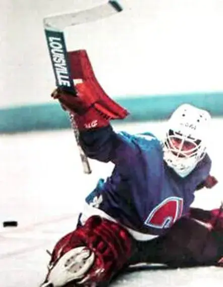 DAN BOUCHARD Quebec Nordiques 1984 CCM Vintage Throwback Home Hockey Jersey 