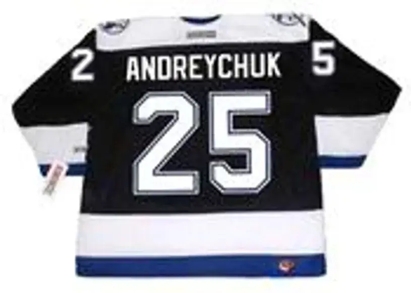 DAVE ANDREYCHUK Tampa Bay Lightning 2004 Home CCM Throwback NHL Jersey 