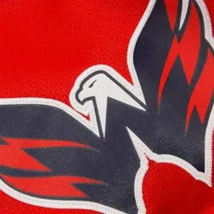 BROOKS LAICH Washington Capitals 2010 REEBOK Throwback NHL Hockey Jersey 
