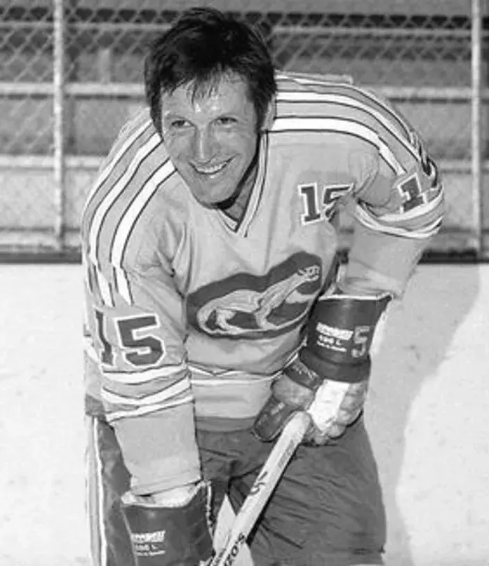 ERIC NESTERENKO Chicago Cougars 1974 WHA Throwback Hockey Jersey 
