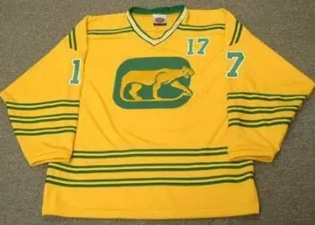 LOU ANGOTTI Chicago Cougars 1974 WHA Throwback Hockey Jersey