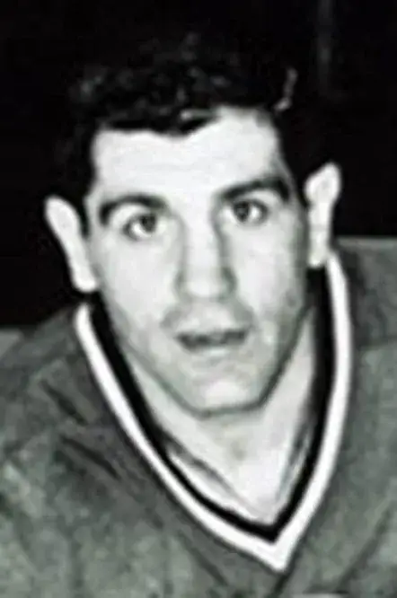 LOU ANGOTTI Chicago Cougars 1974 WHA Throwback Hockey Jersey 