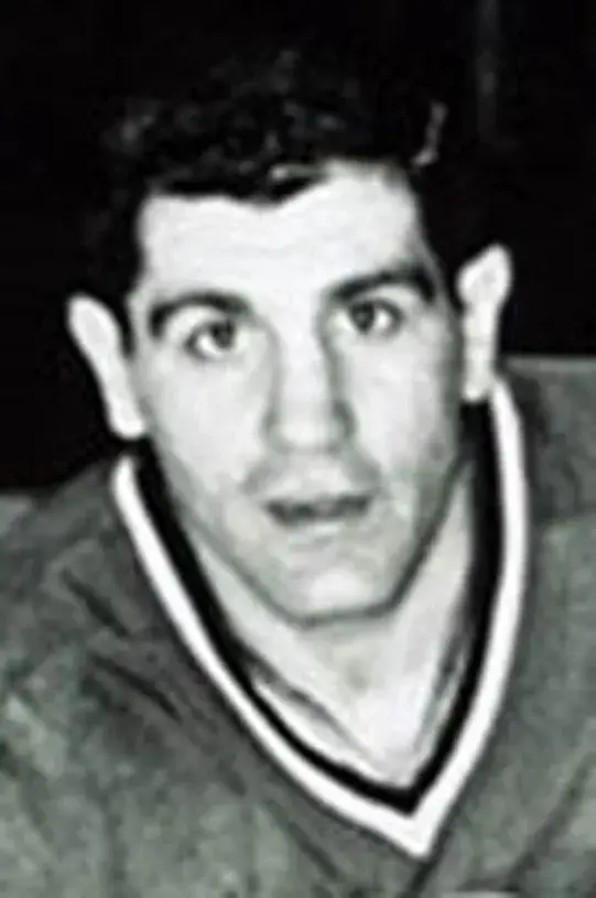 LOU ANGOTTI Chicago Cougars 1974 WHA Throwback Hockey Jersey 