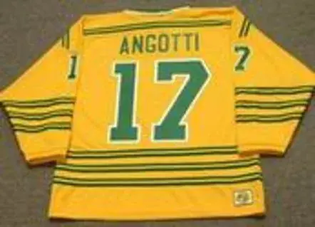 LOU ANGOTTI Chicago Cougars 1974 WHA Throwback Hockey Jersey 