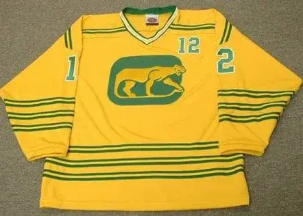 PAT STAPLETON Chicago Cougars 1973 WHA Throwback Hockey Jersey