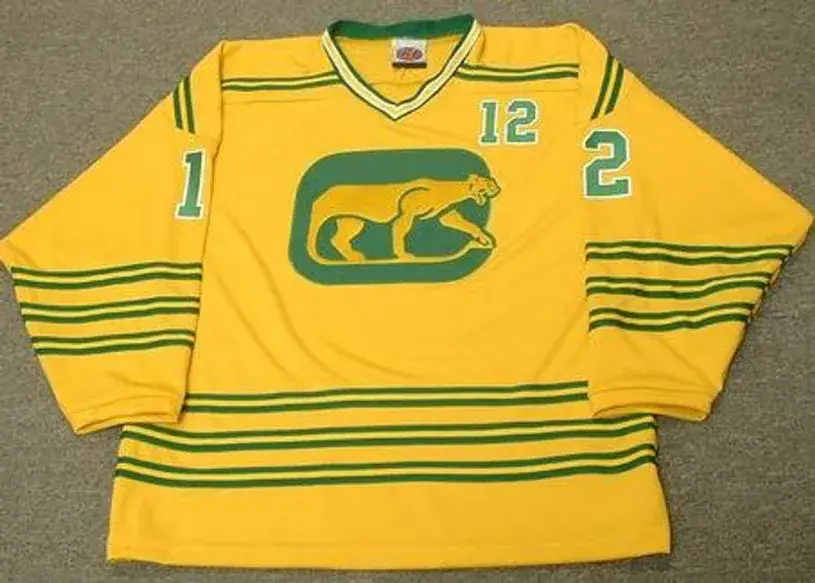 PAT STAPLETON Chicago Cougars 1973 WHA Throwback Hockey Jersey