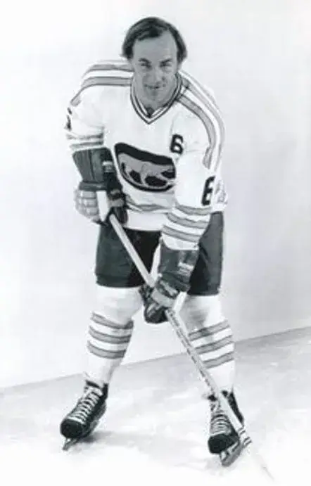 REGGIE FLEMING Chicago Cougars 1973 WHA Throwback Hockey Jersey 