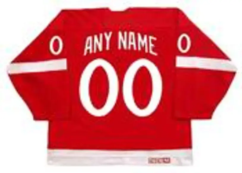 DETROIT RED WINGS 1982 CCM Vintage Jersey Customized “Any Name & Number(s)” 