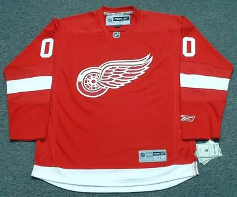 DETROIT RED WINGS Reebok 2010 NHL Jersey Customized with “Any Name & Number(s)”
