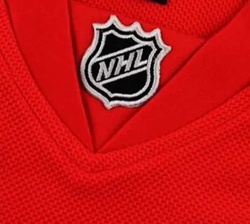 HENRIK ZETTERBERG Detroit Red Wings 2015 REEBOK Throwback NHL Hockey Jersey 