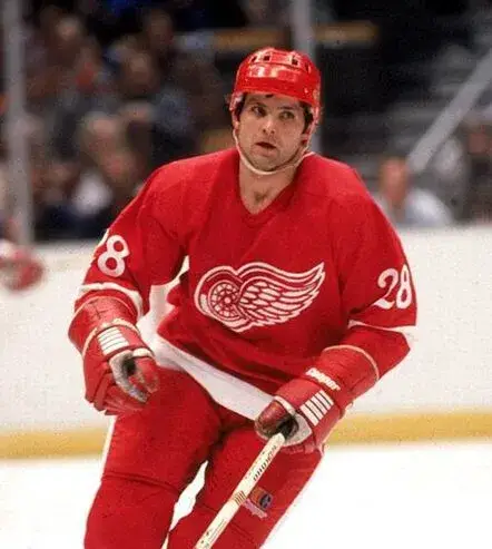 REED LARSON Detroit Red Wings 1982 CCM Vintage Throwback NHL Hockey Jersey 
