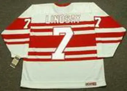 TED LINDSAY Detroit Red Wings 1940’s CCM Vintage Hockey Jersey 