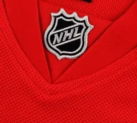 VALTTERI FILPPULA Detroit Red Wings 2010 REEBOK Throwback Home NHL Hockey Jersey 