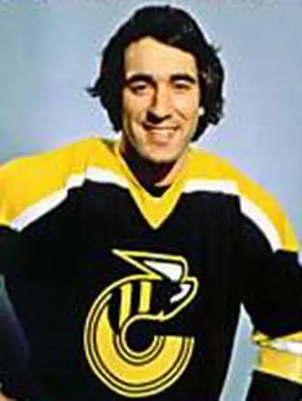 MIKE LIUT Cincinnati Stingers 1978 WHA Throwback Hockey Jersey 