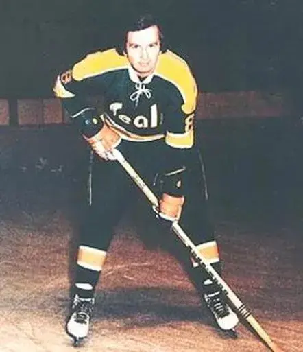 WALT McKECHNIE California Golden Seals 1972 CCM Vintage Throwback NHL Jersey 