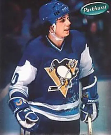 PITTSBURGH PENGUINS 1970’s CCM Vintage Jersey Customized “Any Name & Number(s)” 