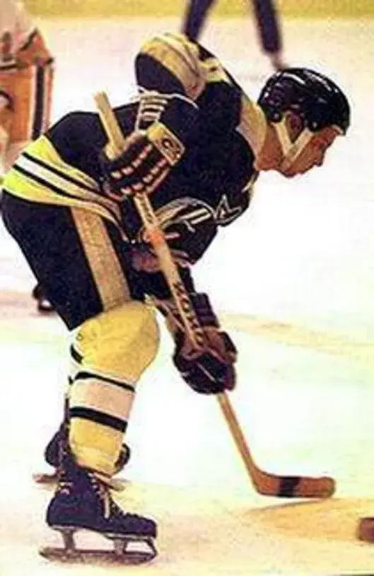ROBBIE FTOREK Cincinnati Stingers 1978 WHA Throwback Hockey Jersey 