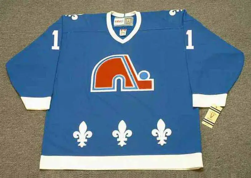 RON TUGNUTT Quebec Nordiques 1989 CCM Throwback NHL Hockey Jersey