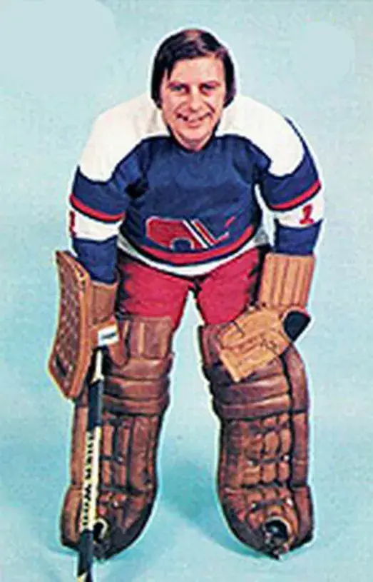SERGE AUBRY Quebec Nordiques 1974 WHA Throwback Hockey Jersey 