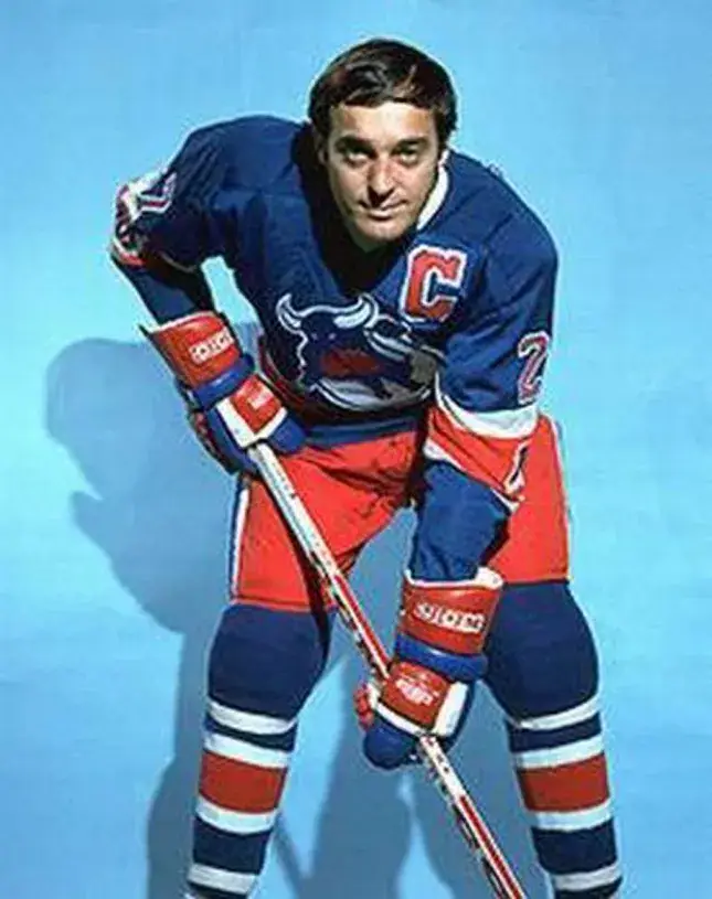 FRANK MAHOVLICH Toronto Toros 1974 WHA Throwback Hockey Jersey 