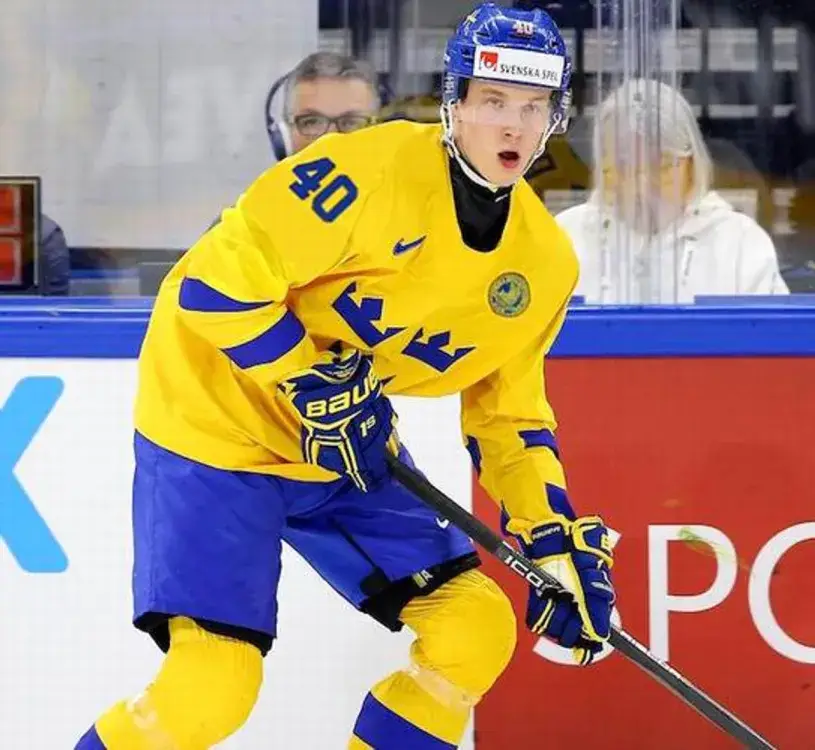 ELIAS PETTERSSON Team Sweden Nike Olympic Throwback Hockey Jersey 