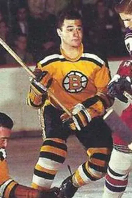 TED GREEN Boston Bruins 1966 CCM Vintage Throwback NHL Jersey 