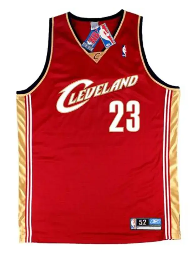 LeBRON JAMES Cleveland Cavaliers 2003 Away Reebok Authentic Throwback NBA Jersey