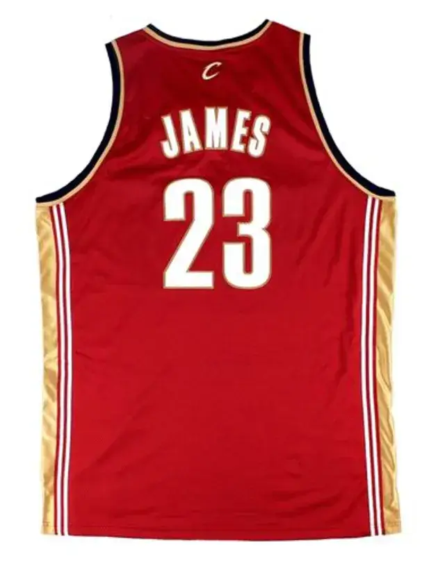 LeBRON JAMES Cleveland Cavaliers 2003 Away Reebok Authentic Throwback NBA Jersey 