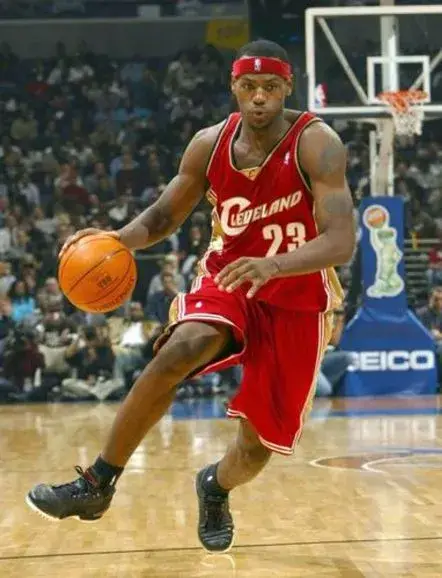 LeBRON JAMES Cleveland Cavaliers 2003 Away Reebok Authentic Throwback NBA Jersey 