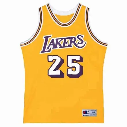 GAIL GOODRICH Los Angeles Lakers 1971 Home Throwback NBA Basketball Jersey