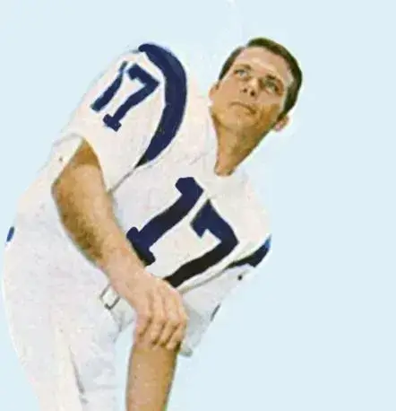 RICHIE PETITBON Los Angeles Rams 1969 Throwback NFL Football Jersey 
