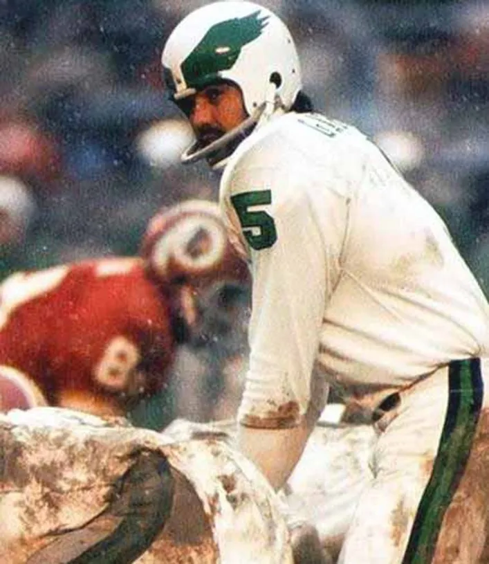 ROMAN GABRIEL Philadelphia Eagles 1973 Throwback NFL Football Jersey 