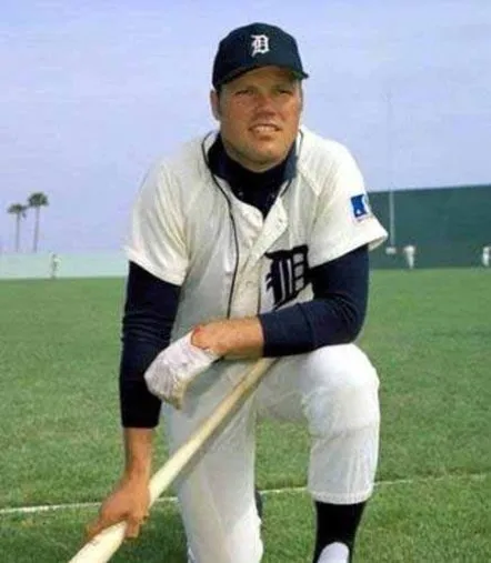 BILL FREEHAN Detroit Tigers 1969 Home Majestic Throwback Baseball Jersey 